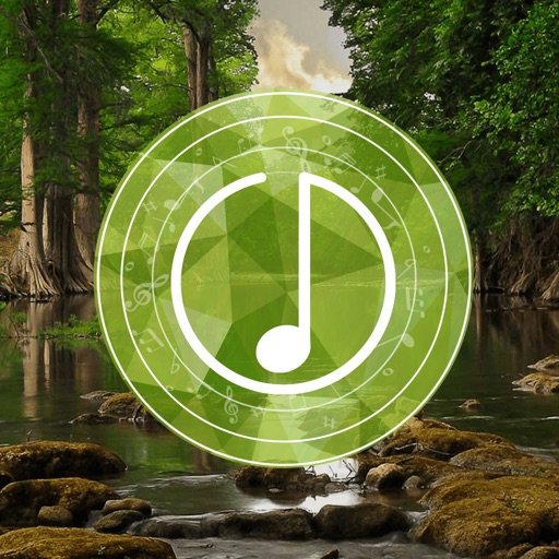 Forest Sounds: Relaxing naturescapes jungle sounds for sleep and mind calmness icon