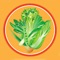 You’ve probably heard all of the benefits of a vegan diet,