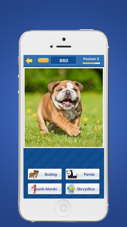 Odgadnij zwierzę screenshot-4