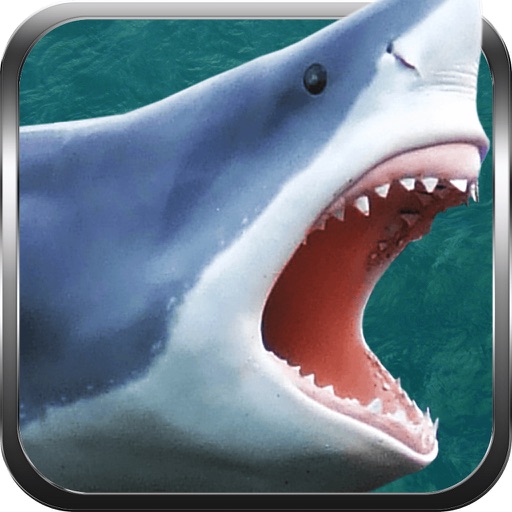 Hungry World Shark Tank Escape : Stack Great white Shark Adventure Free Shoot Games icon