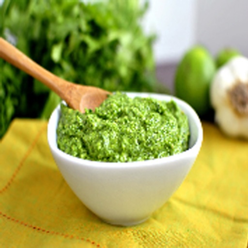 Cilantro Recipes