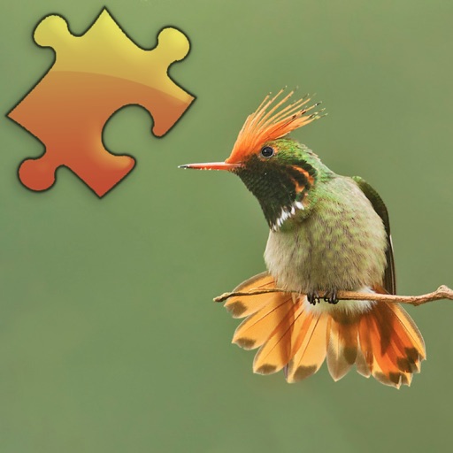 Hummingbirds Jigsaw Puzzles icon