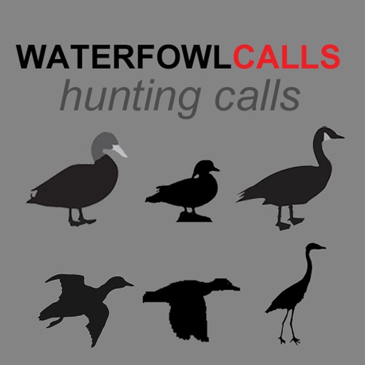 Waterfowl Hunting Calls SAMPLER - The Ultimate Waterfowl Hunting Calls App For Ducks, Geese & Sandhill Cranes Icon