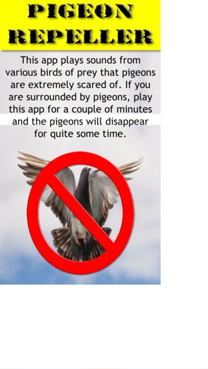 Pigeon