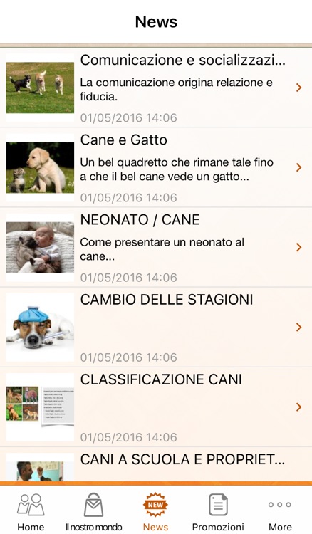 D&C LIVORNO screenshot-3