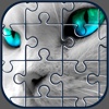 Cat Puzzle Pic Game – Cute Kitten Jigsaw With Real Pet Photo For Kid.s