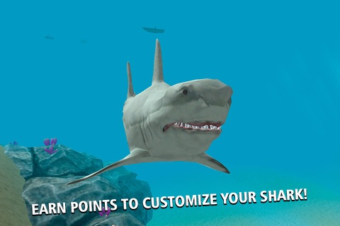 Wild Crazy Shark Simulator 3D Full screenshot 3