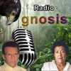 radio gnosis