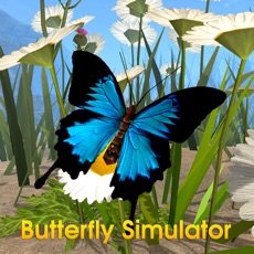 Activities of Butterfly Simulator