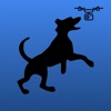 Dog & Drone Sports
