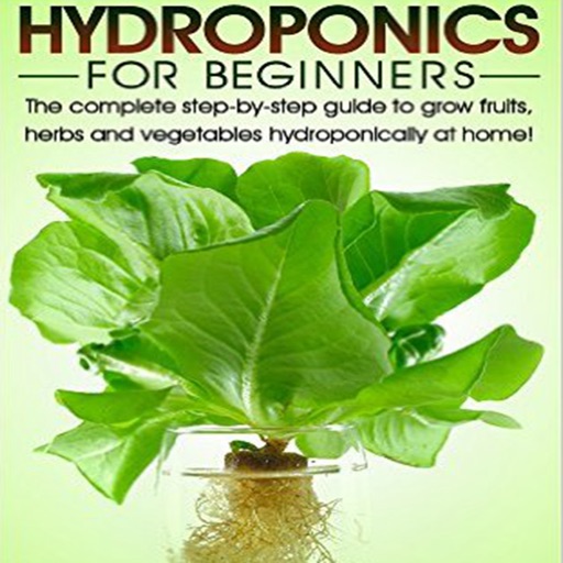 Hydroponics For Beginners :Guide and Tips
