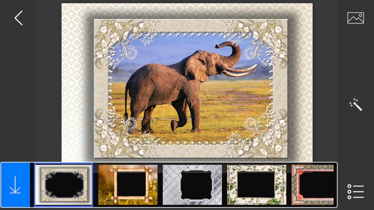 Professional Photo Frames - make eligant and awesome photo using new photo frames