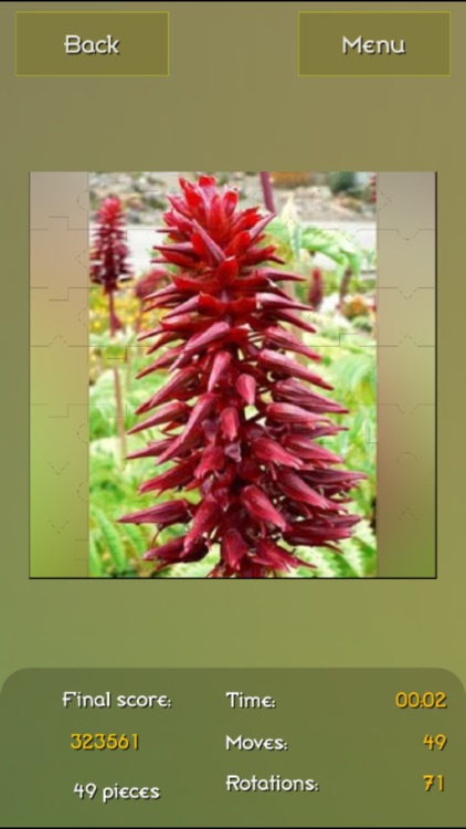 Medicinal Plants Puzzles screenshot-3