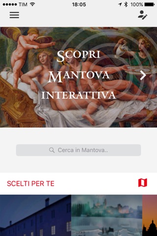 Mantova screenshot 2