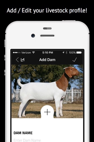 Livestock Manager - Goats screenshot 2