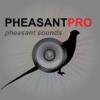 Pheasant Hunting Calls - With Bluetooth Ad Free