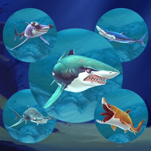 Shark.io : Multiplayer simulator game - World of respeck hungry fish Icon