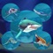 Shark.io : Multiplayer simulator game - World of respeck hungry fish