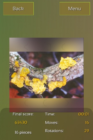 Mushrooms Puzzles screenshot 4