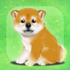 Activities of My Dog Life -Japanese Shiba Inu Edition-