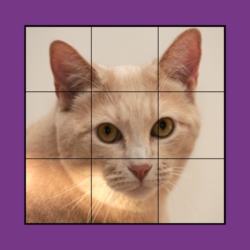 Cat Puzzles Extreme! 2