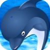 Baby Dolphin Summer Show in Holiday Theme Parks