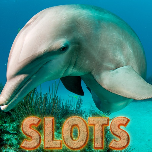 21 Wild Dolphins Slots - FREE Game A Monopoly of Money Blast