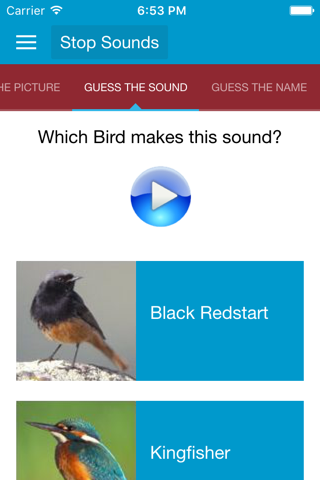 Spanish Birds and Sounds screenshot 4