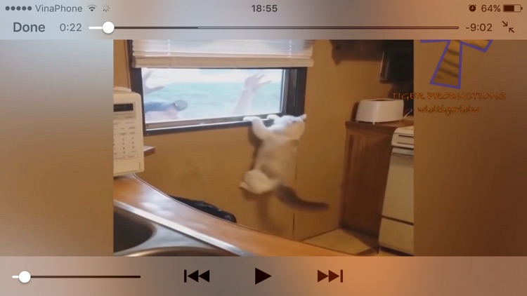 KillSomeTime - Top Funny Videos screenshot-4