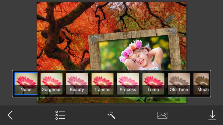 Autumn Photo Frames - Creative Frames for your photo