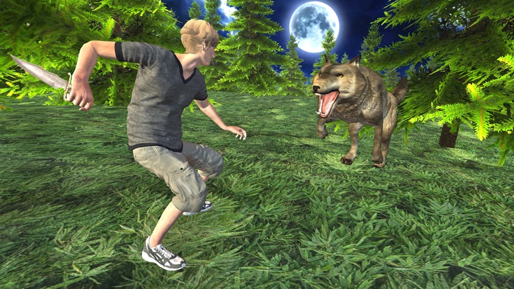 Wild Wolf Attack Adventure 3D - Wild  Beast wolf Revenge From Animals