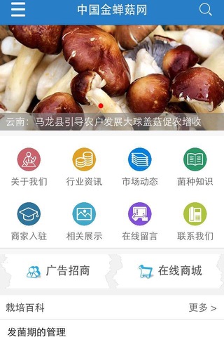 中国金蝉菇网 screenshot 2