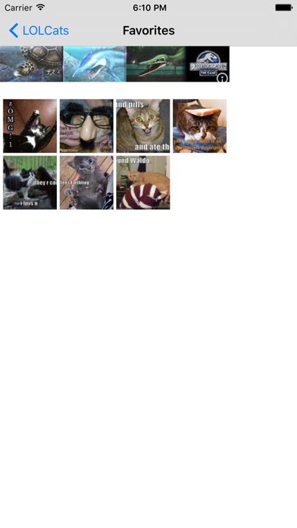 LOLCats Free