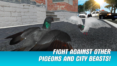 How to cancel & delete City Pigeon Simulator 3D from iphone & ipad 2