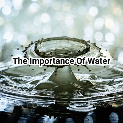 The Importance Of Water icon