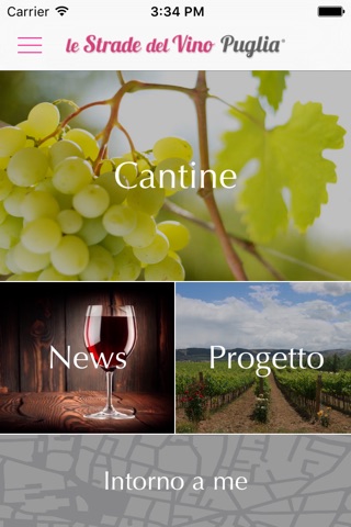 Le Strade del Vino Puglia screenshot 2