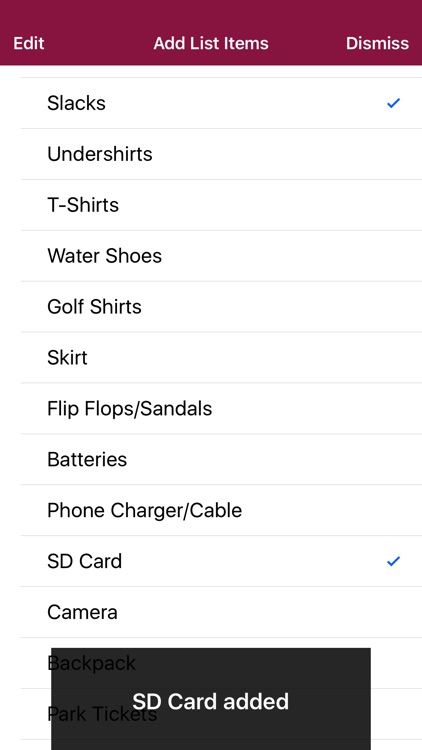 Vacation Packing List