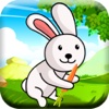 Hungry Baby Bunny Adventure Rabbit Run