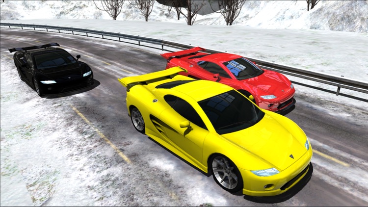 Sports Cars Racing Winter PRO