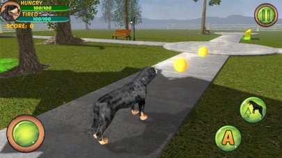 Rottweiler Dog Life Simulator Screenshot 4