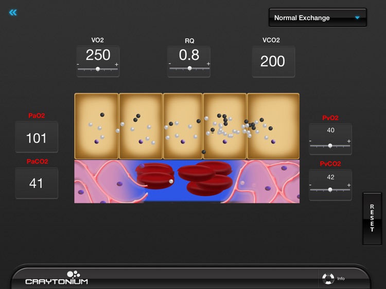 Craytonium Interactive Physiology screenshot-4