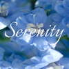 Serenity - Explore Life Within
