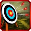 Archery Shooter 3D