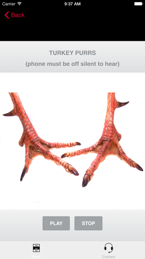 TURKEY CALLS for Hunting Fall Turkeys - BLUETOOTH COMPATIBLE(圖2)-速報App