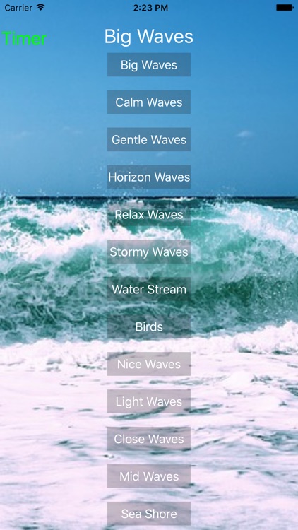 Beach Sound Central Pro
