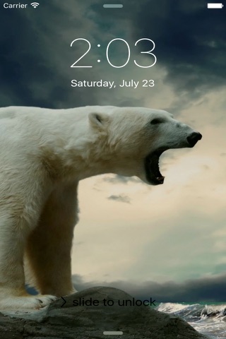 Bear Wallpapers Free screenshot 3