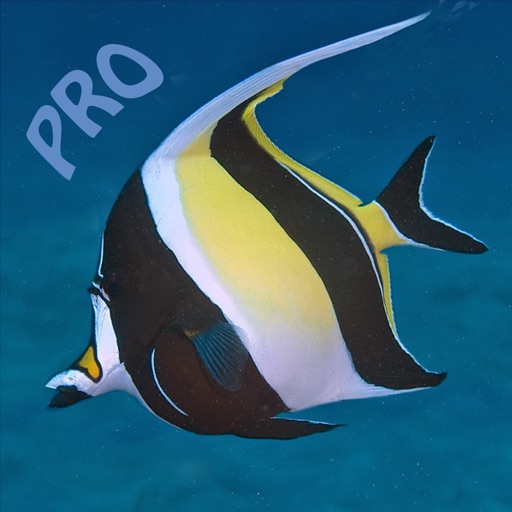 Fish ID Hawaii pro icon