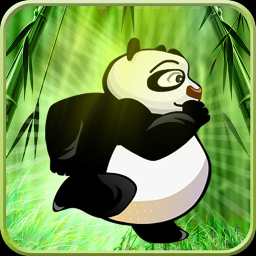 Panda Run : Joy Jungle Panda Temple Race iOS App