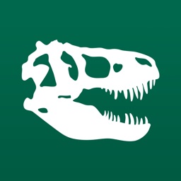 Dinosaurs: The American Museum of Natural History Collections