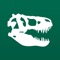 Dinosaurs: The American Museum of Natural History Collections